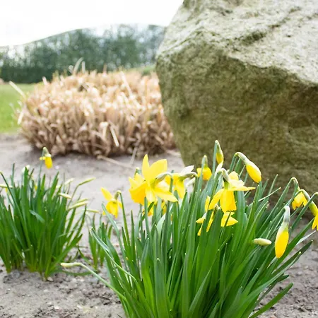 Apartment Duhnenbuedje