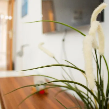 Duhnenbuedje Apartment *